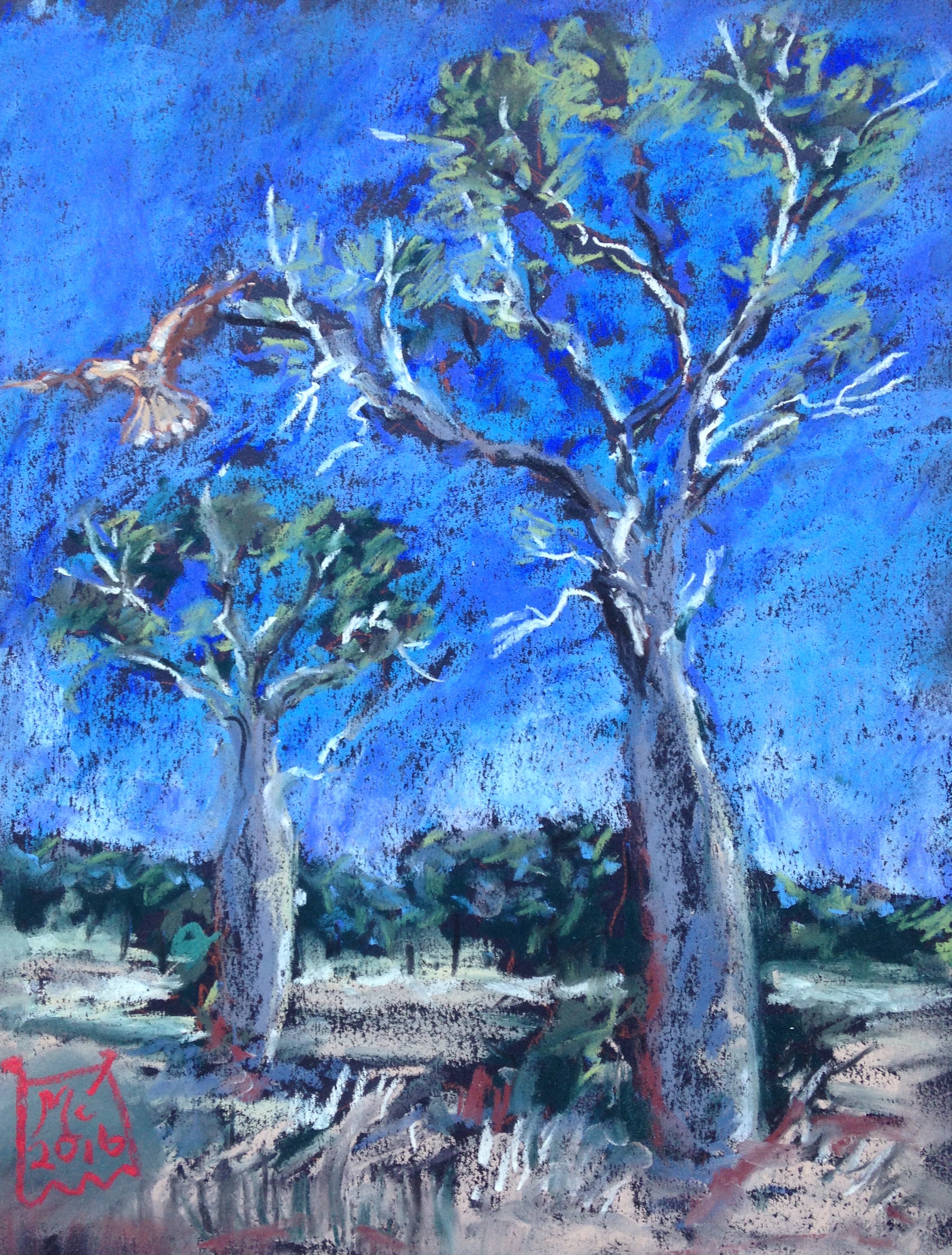Artists Toowoomba; Paintings Toowoomba; Original artworks Toowoomba; Female Artists Toowoomba; Original Art for Sale Toowoomba; Australian original paintings; Australian Landscapes; Australian Pastel Paintings